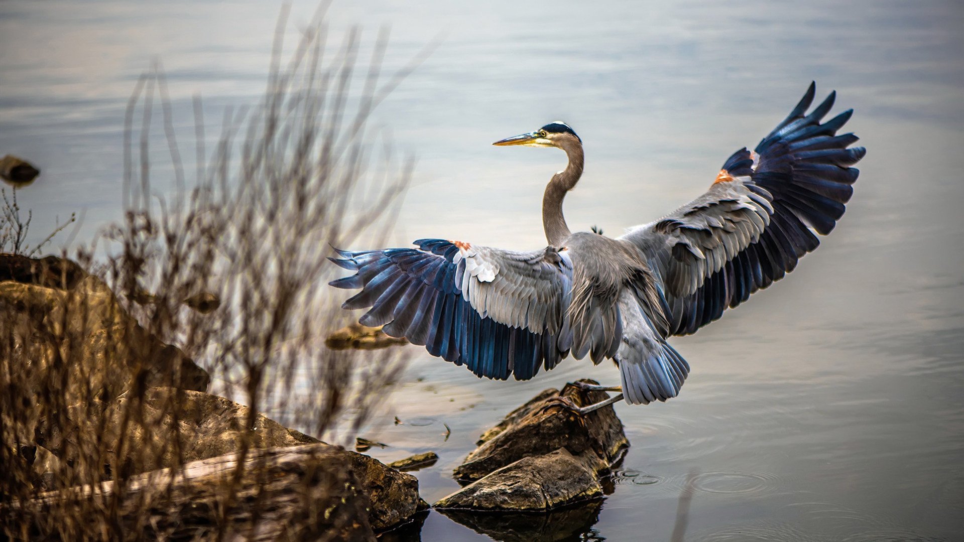 开云体育在线-隔空对决！步行者掀翻辽宁队，文班亚马虚拟赛场赛后评分拉满