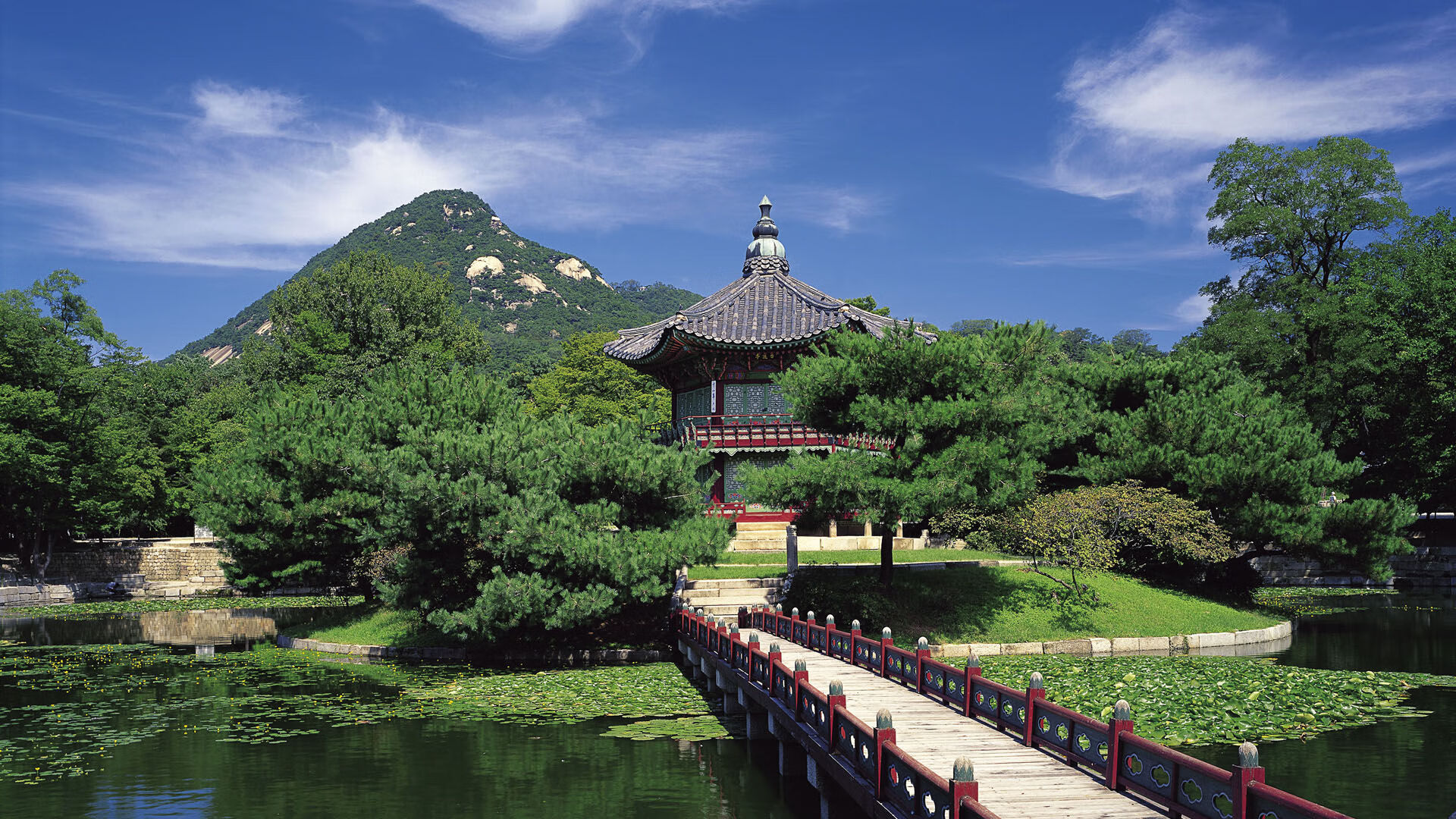 金字塔的阴影下,当埃及法老粉碎潘帕斯雄鹰,库尔图瓦如何加冕为关键先生?